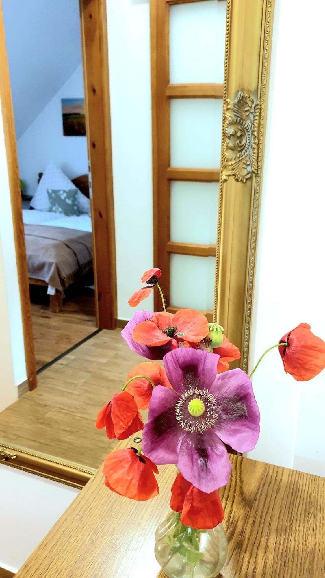 Appartement Ori Bük